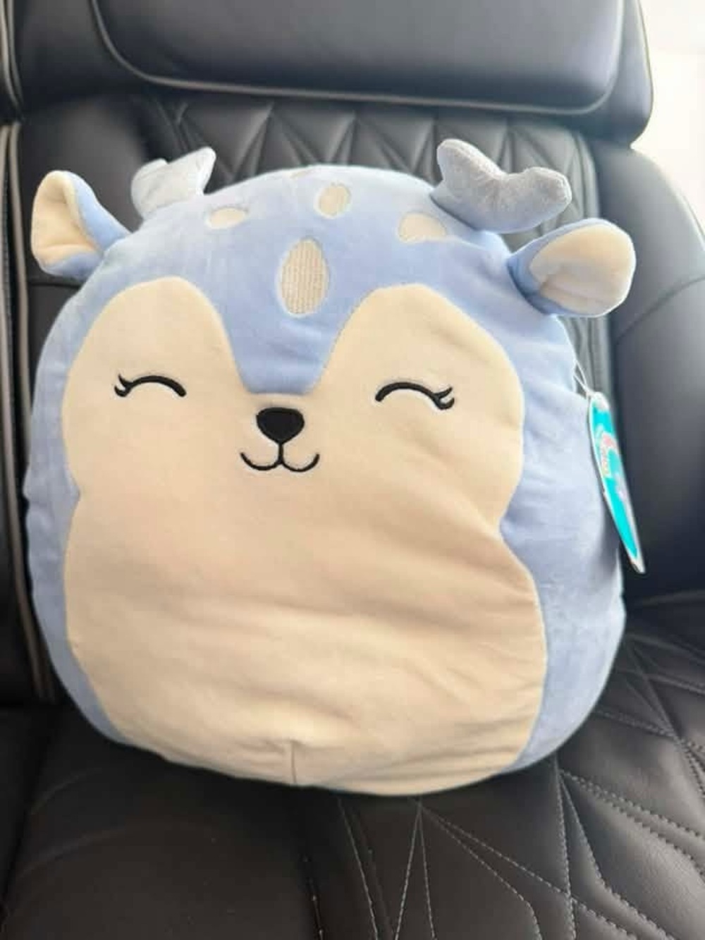 NWT Squishmallow